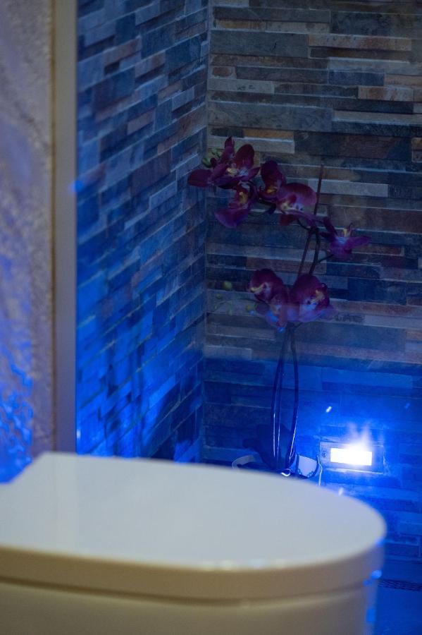 Pantheon Chic Appartement